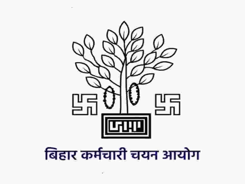 Bihar BTSC Staff Nurse Recruitment 2025 Apply Online for 11389 Post