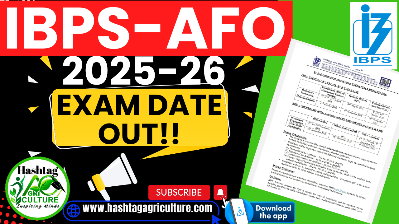 IBPS AFO Exam Calander 2025
