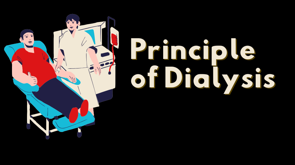 Principles of dialysis 