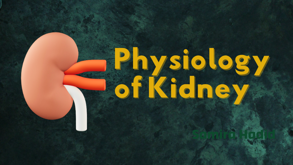 PHYSIOLOGY-OF-THE-KIDNEY