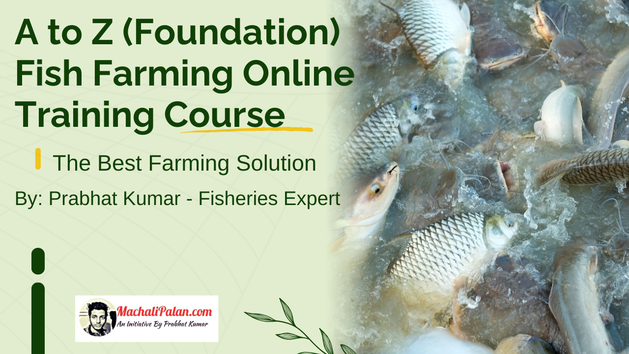 A To Z  Fish farming Online Training Course (Foundation)