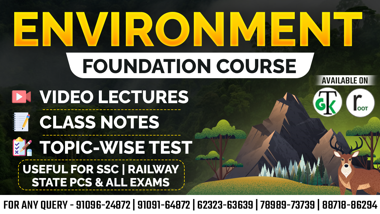 Environment Foundation Course  2025