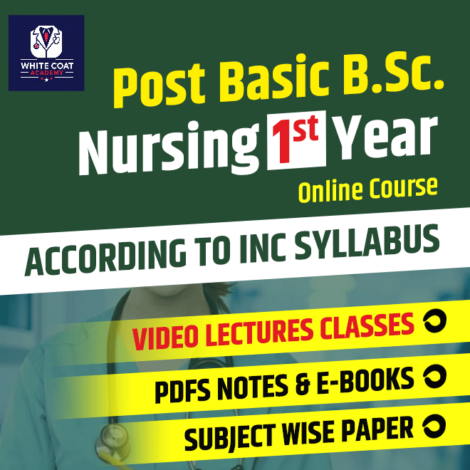 Bsc Nursing 