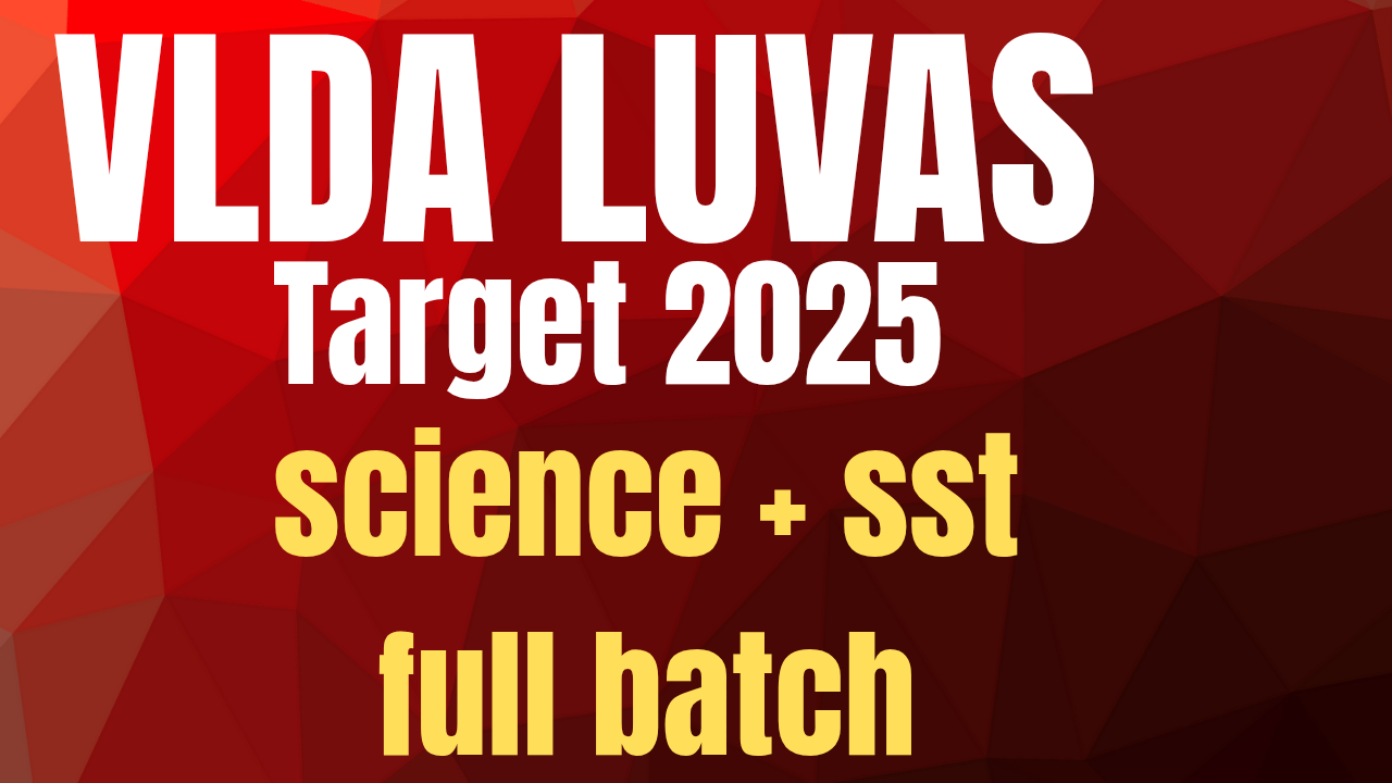 VLDA 2025 luvas batch 