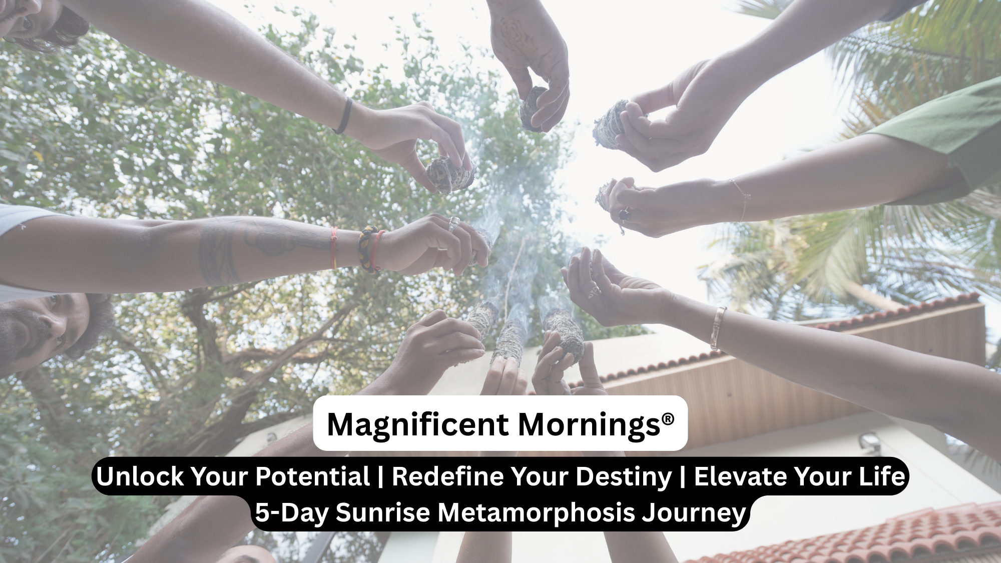 Magnificent Mornings®