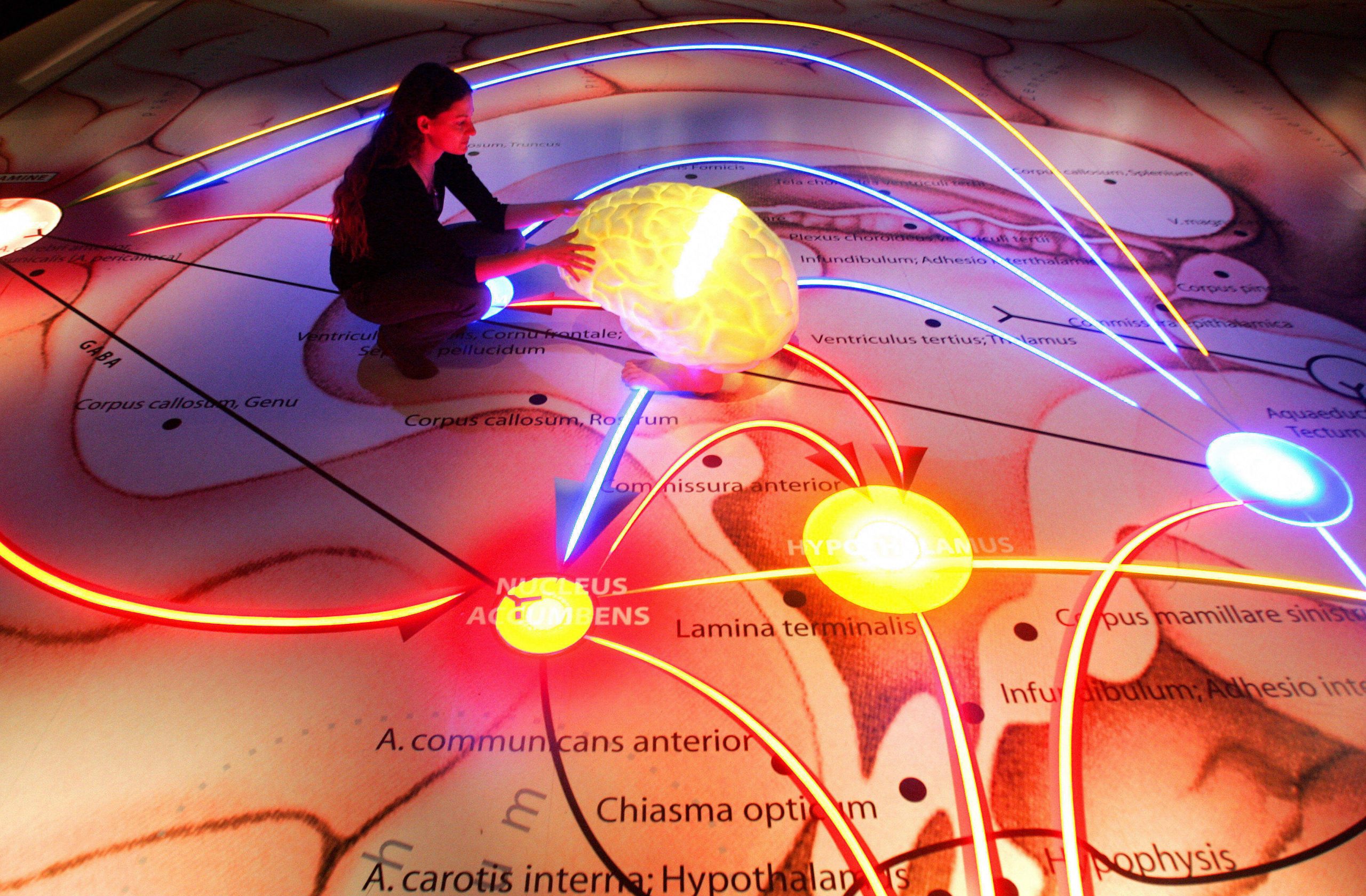 MIND TRAINING & ENHANCEMENT
