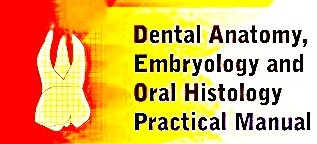 DENTAL ANATOMY + HISTOLOGY