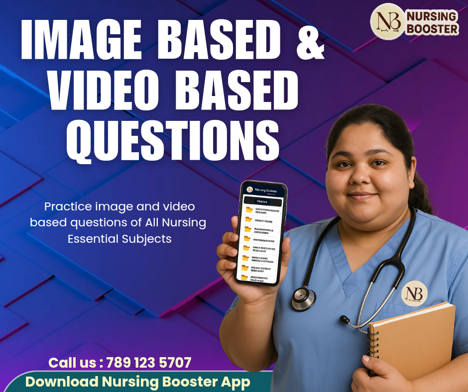 Image Based & Video Based 