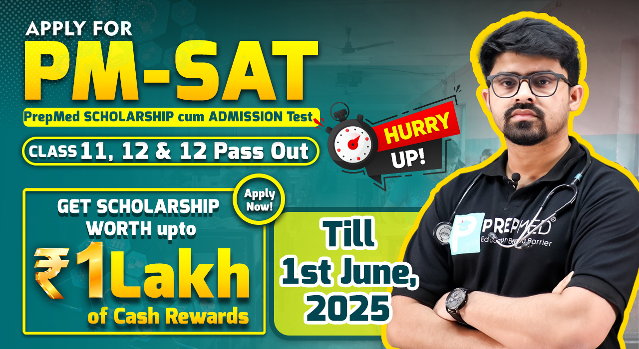 PM-SAT
