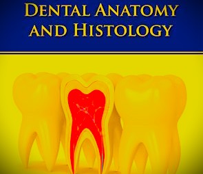 DENTAL ANATOMY & HISTOLOGY