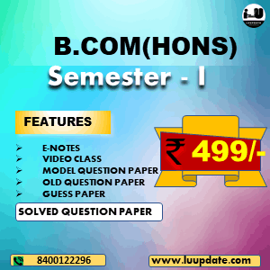 BCOM HONS SEM I