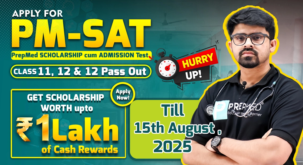 PM-SAT