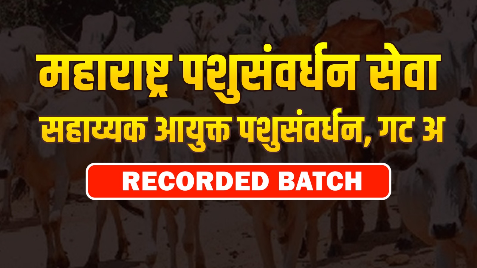 सहाय्यक आयुक्त पशुसंवर्धन Recorded Batch