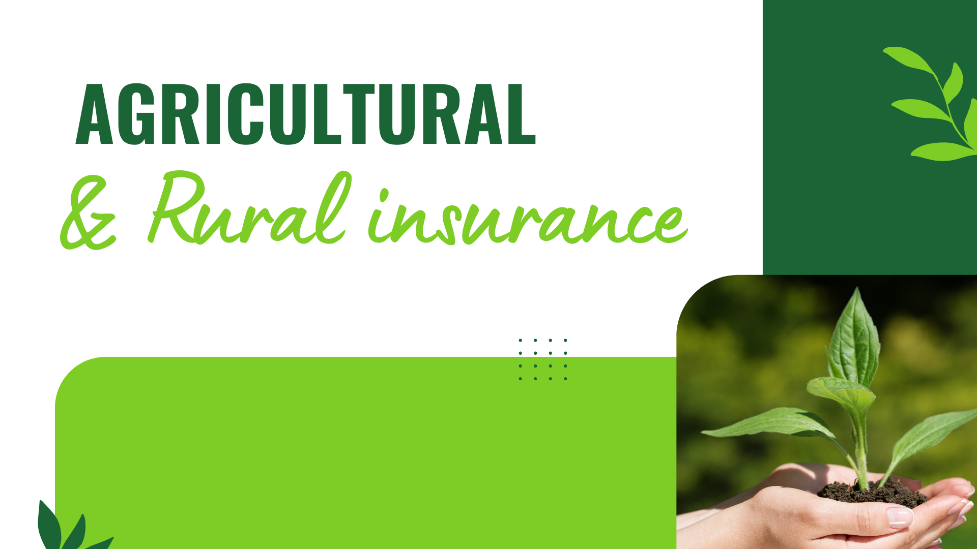 Agricultural and Rural Insurance