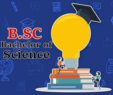 B.Sc (Bachelor of Science)