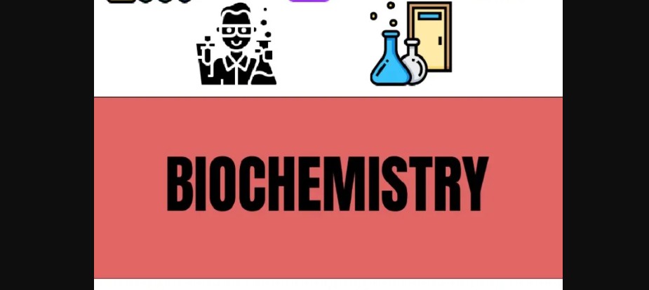 BIOCHEMISTRY NOTES