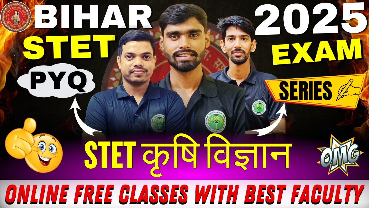 BIHAR STET 2025 PYQ SERIES