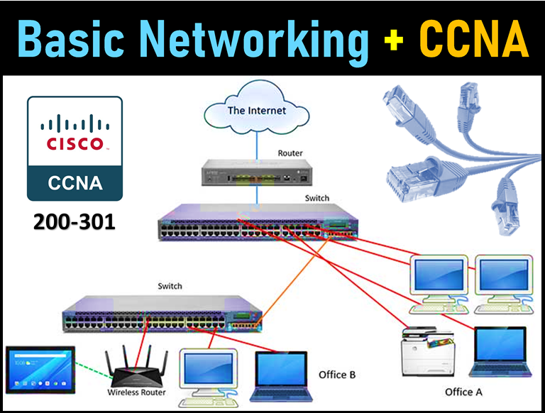 Basic Networking + CCNA
