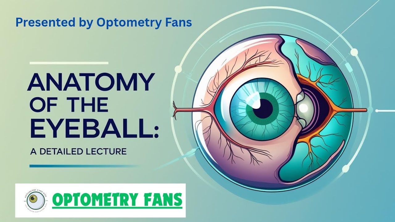 OCULAR ANATOMY & PHYSIOLOGY