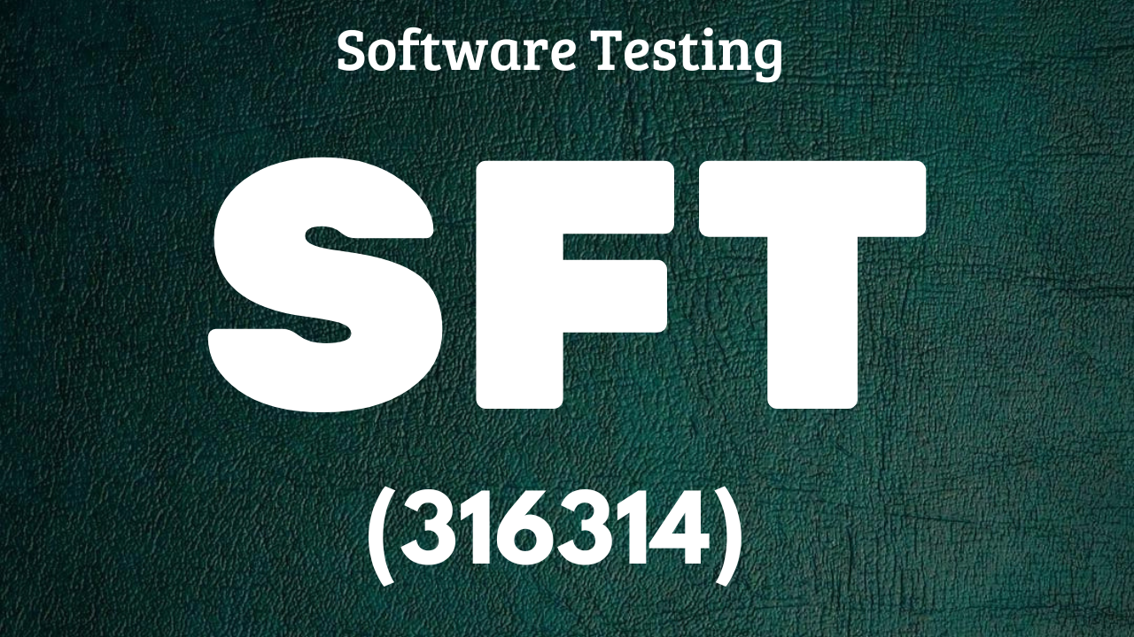 Software Testing (316314)