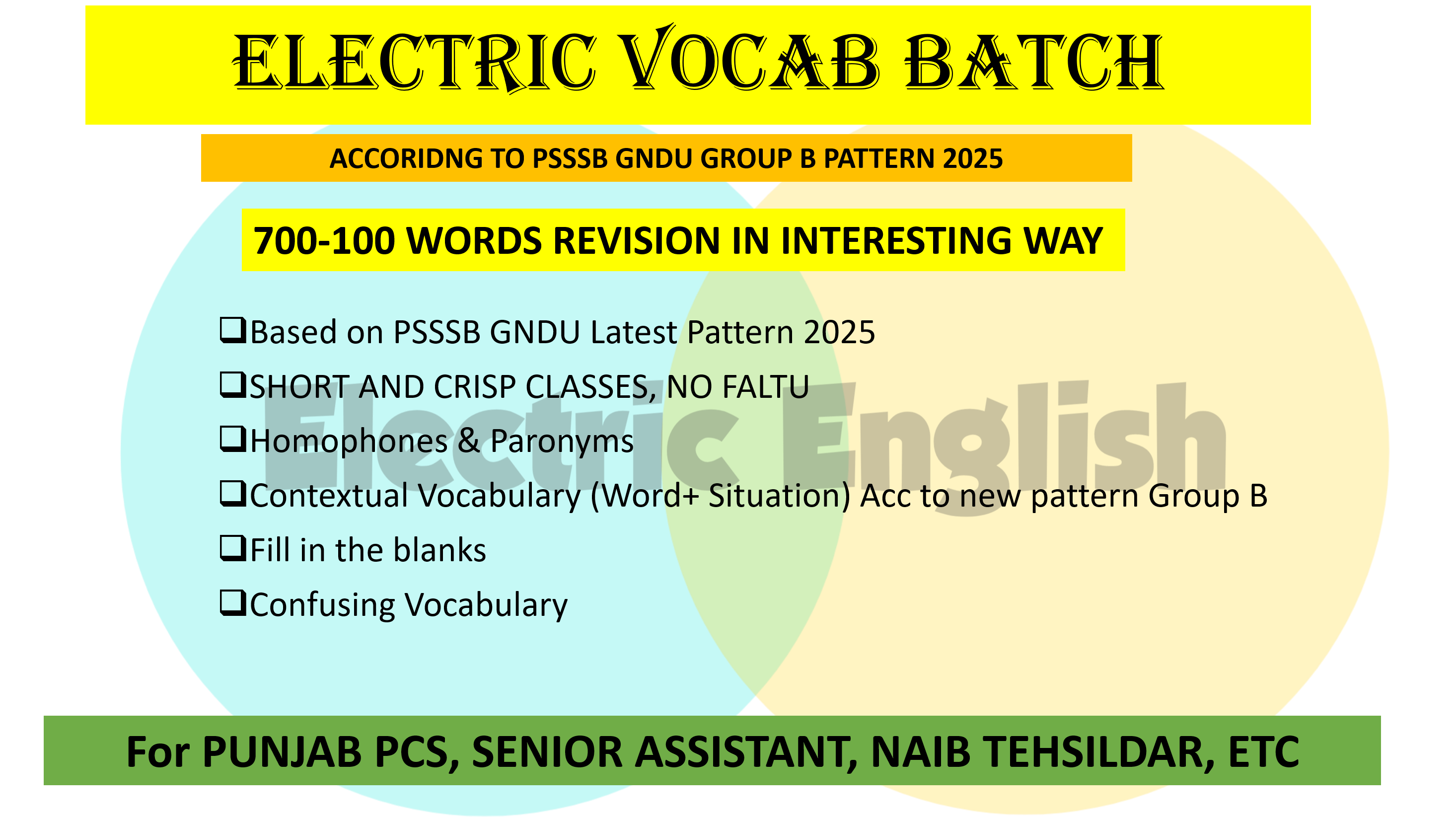 ELECTRIC VOCAB TARGET BATCH