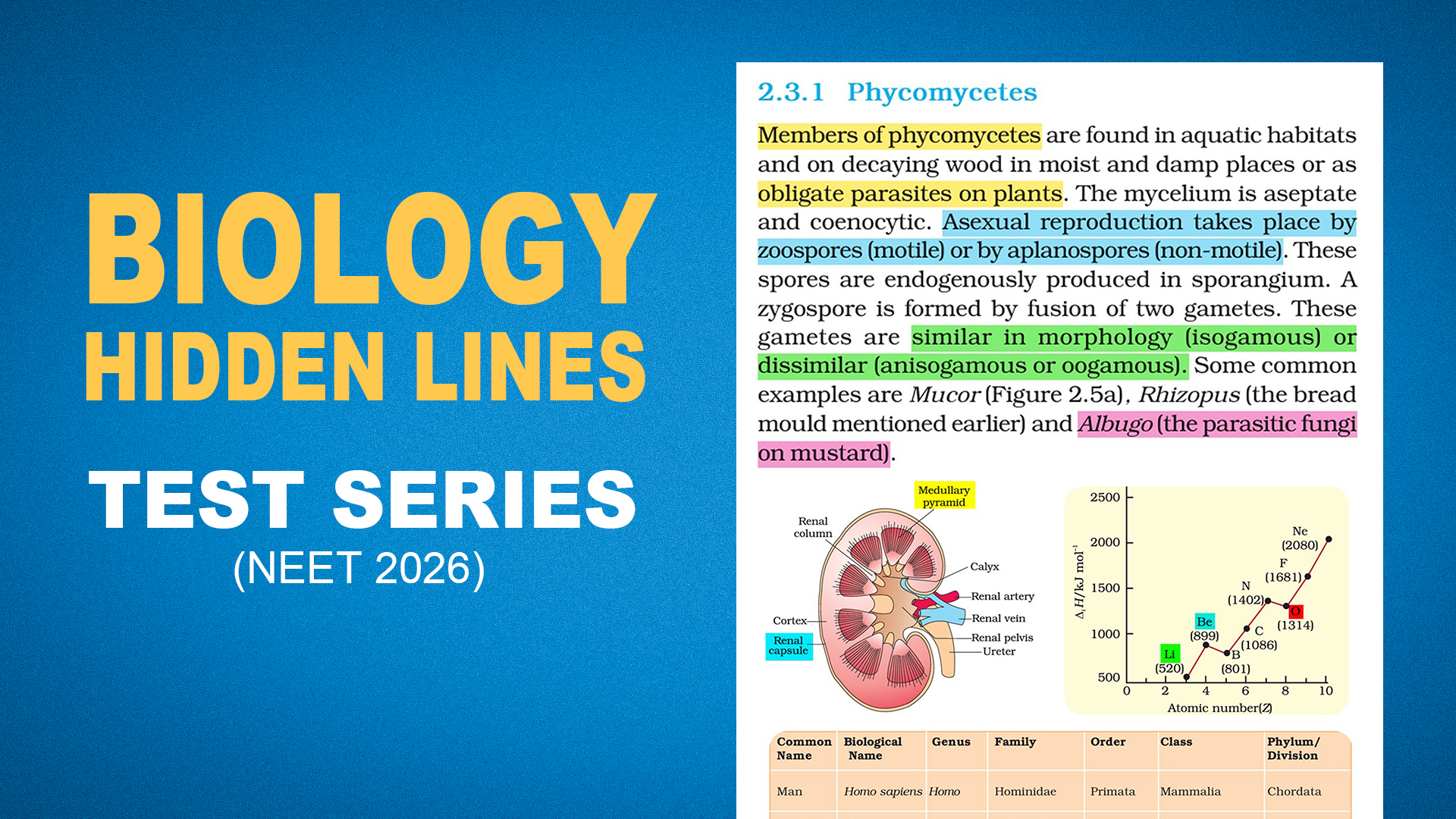 BIOLOGY NCERT HIDDEN LINES TEST SERIES 🎯