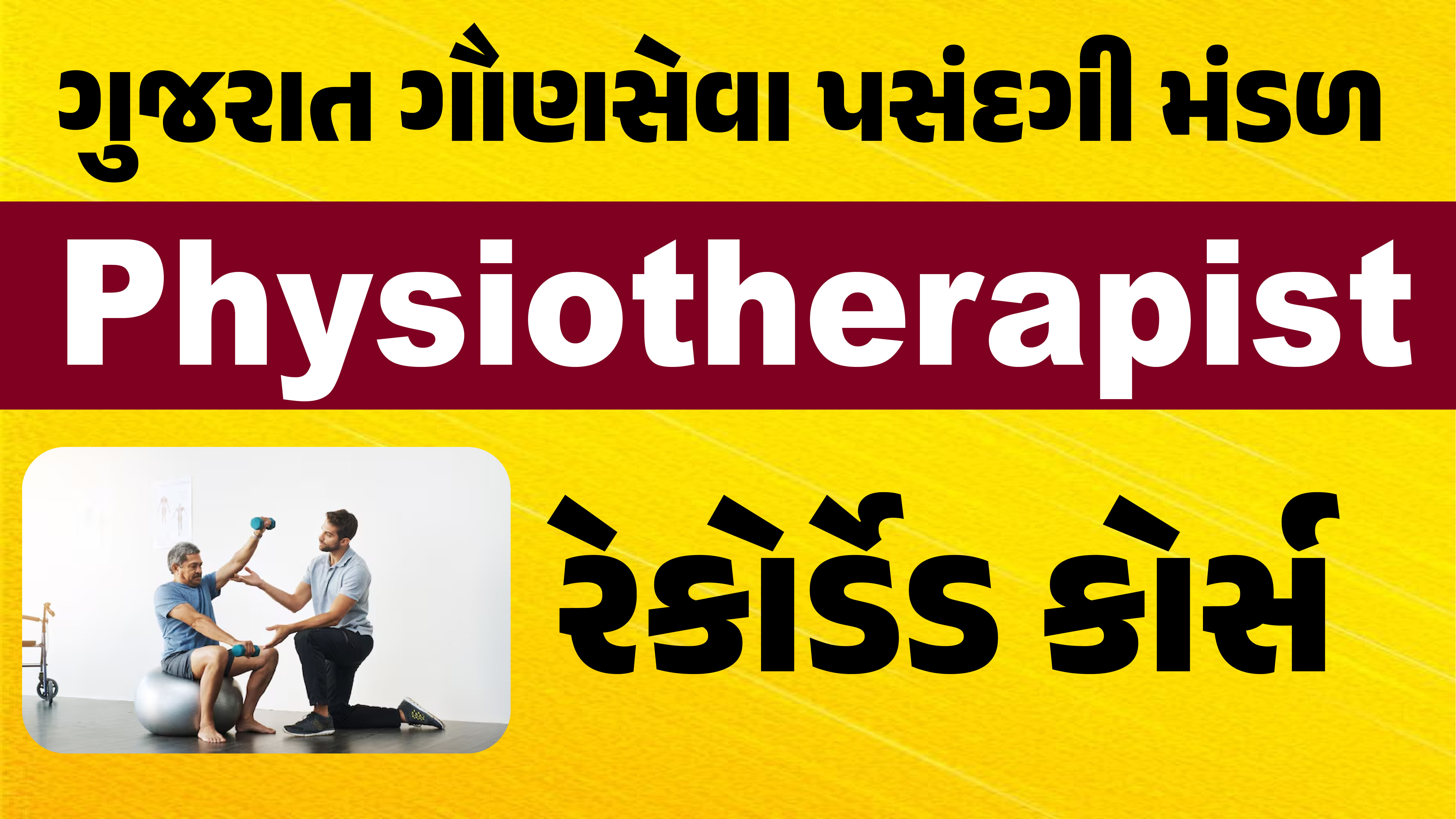 ફિઝીયોથેરાપીસ્ટ રેકોર્ડેડ બેચ 