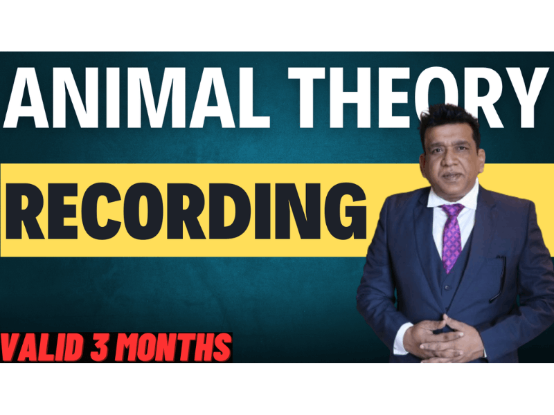 ANIMAL THEORY