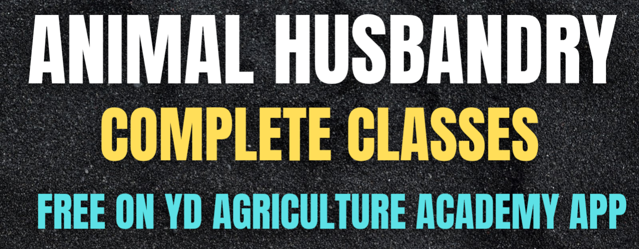 ANIMAL HUSBANDRY (AG.TA + CANE SUPERVISOR)