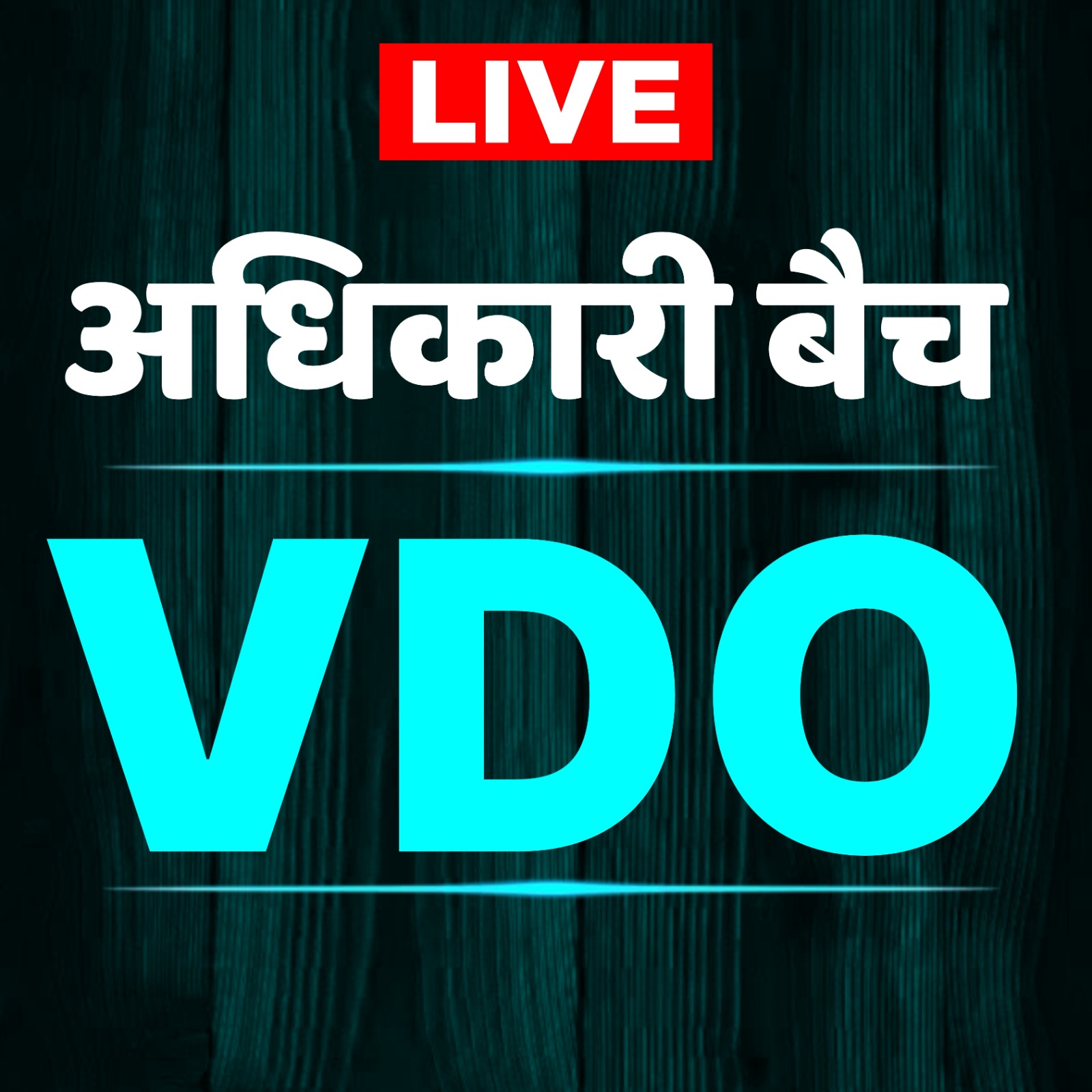 VDO (अधिकारी बैच )