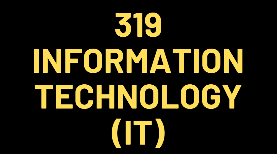 319 INFORMATION TECHNOLOGY (IT)