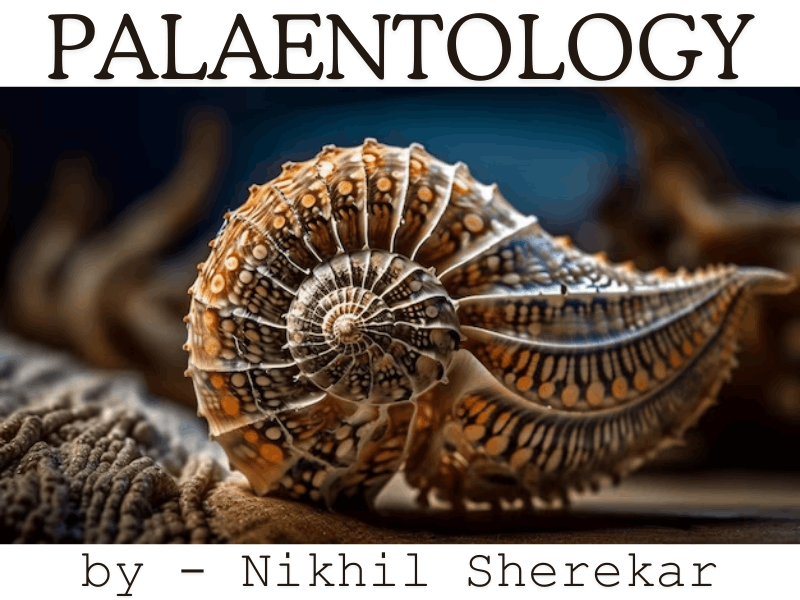 Palaentology