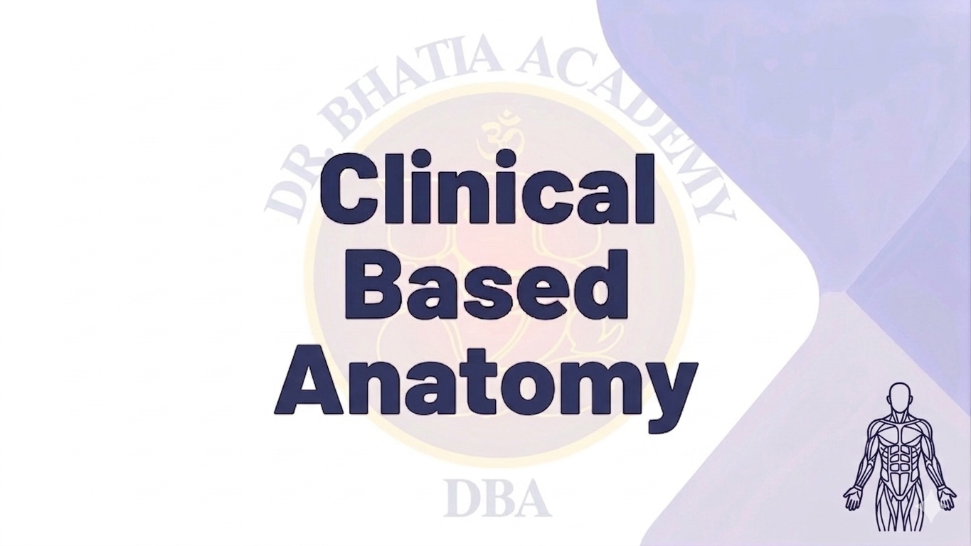 Clinical Based Anatomy