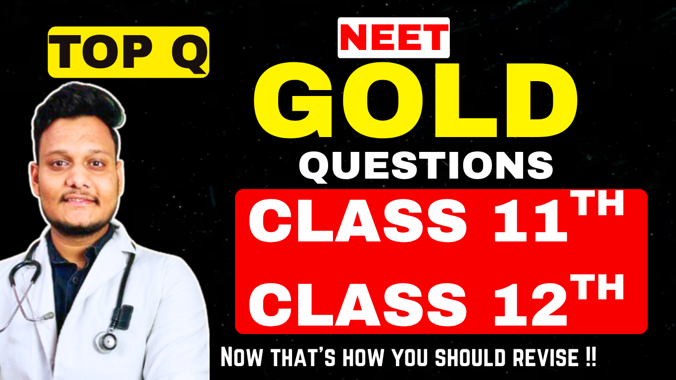 GOLD QUESTIONS FREE PDF