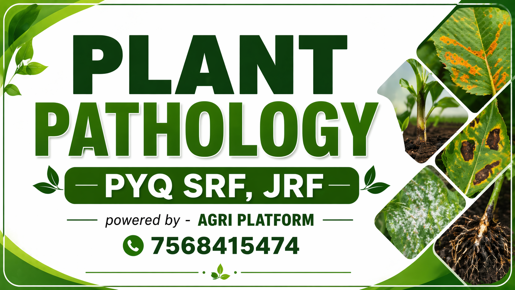 PLANT PATHOLOGY PYQs