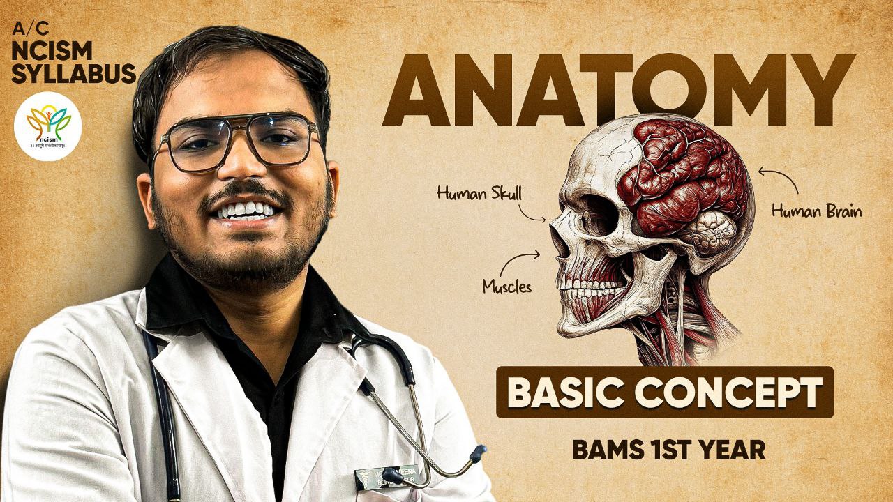 ANATOMY