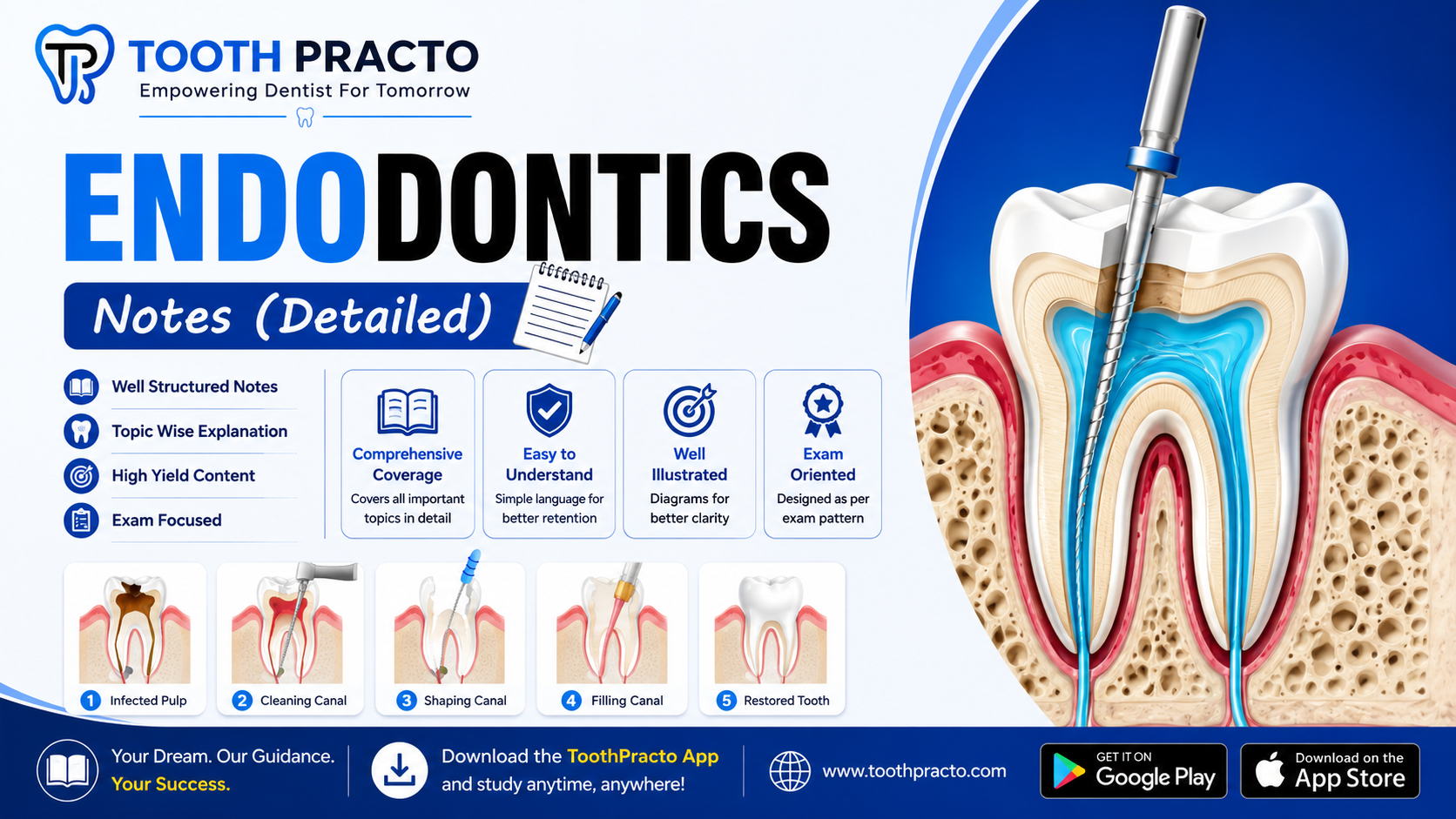 Endodontics Notes (Detailed)