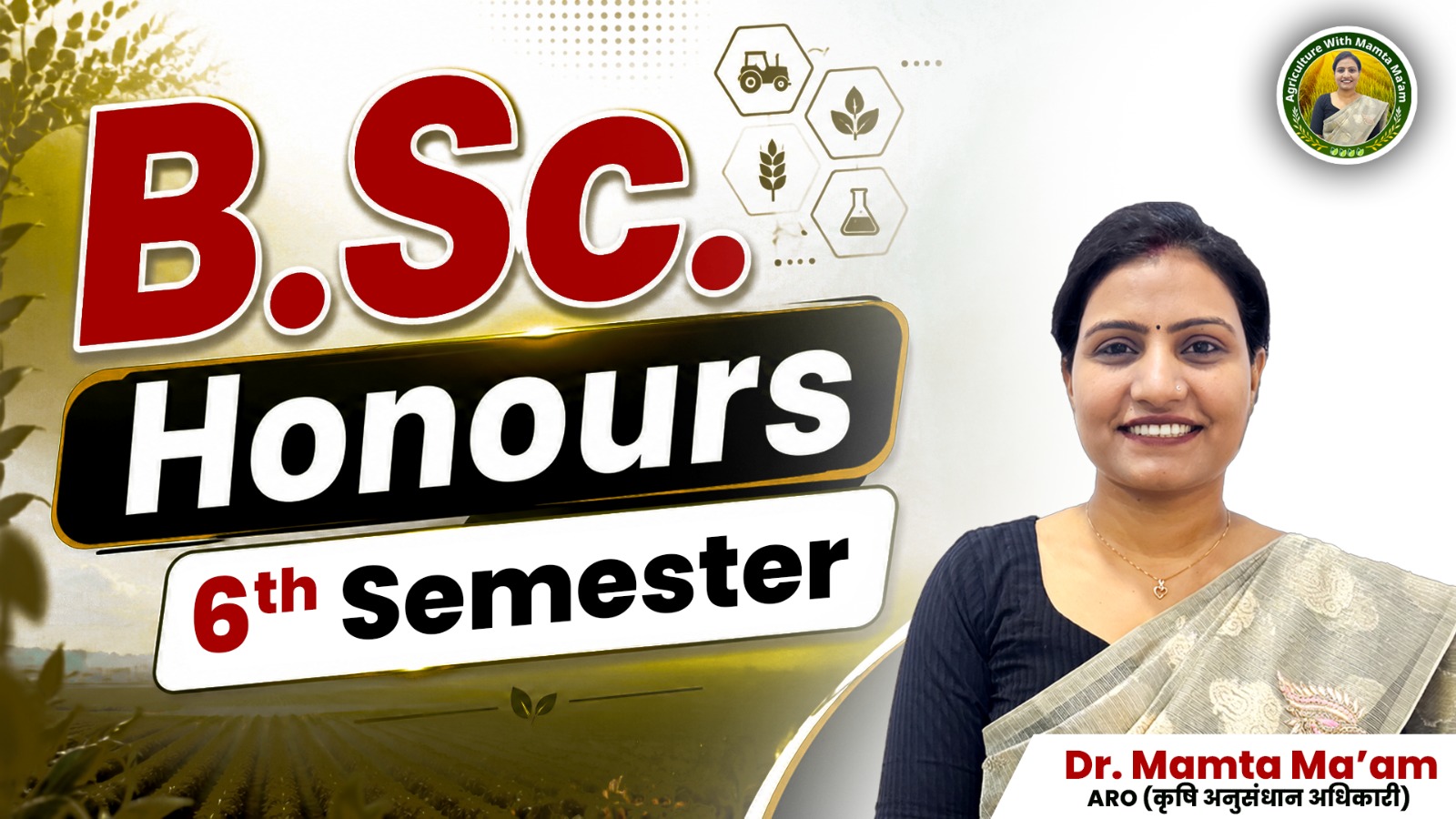 B.Sc. Honours 6th Semester
