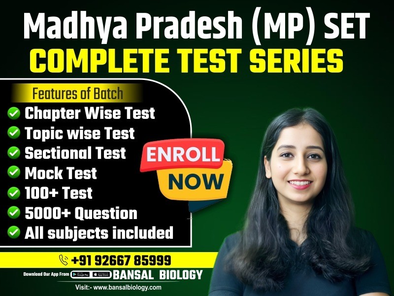 MP SET Complete Test Series