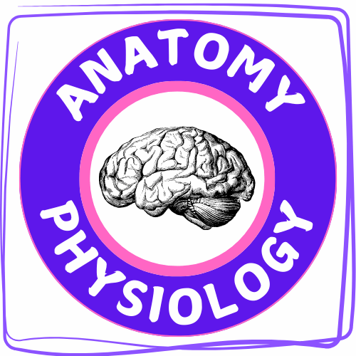 ANATOMY & PHYSIOLOGY