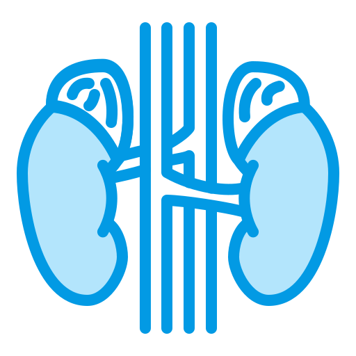 Endocrinology Adrenal Gland
