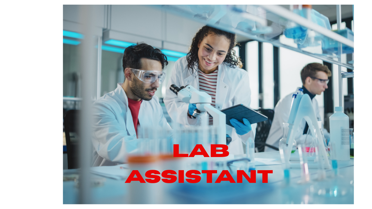 LAB ASSISTANT