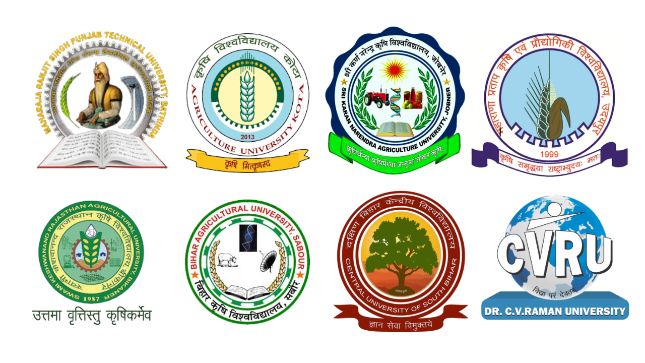 University Wise