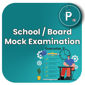 Detailed Solution - School / Board Mock Examination