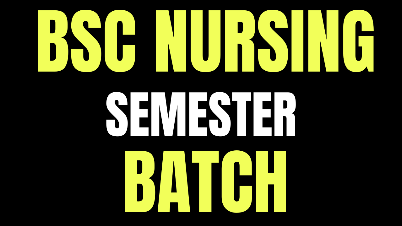BSC NURSING SEMESTER