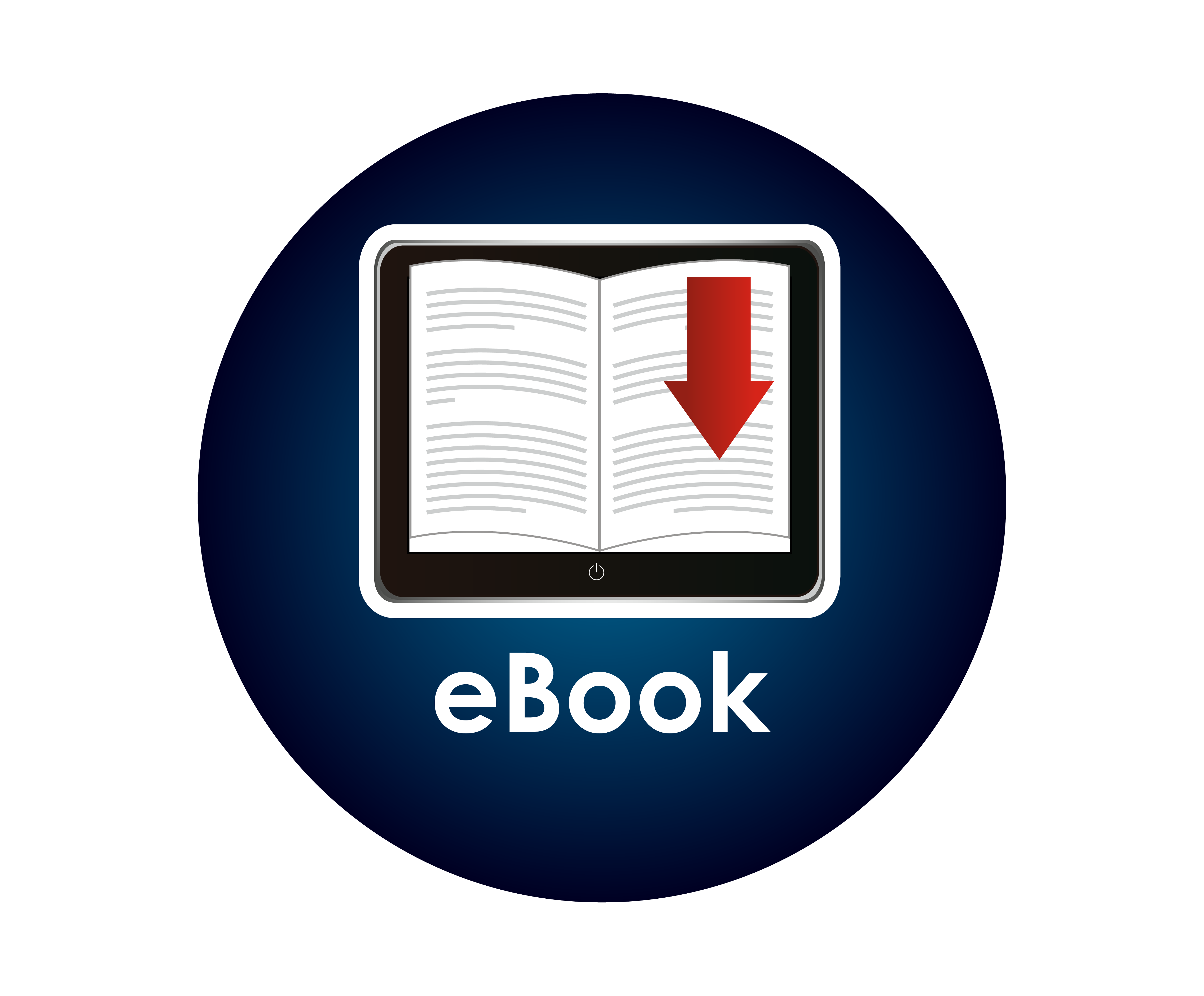 Economics e-book