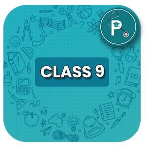 Class 9