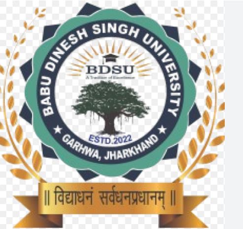  Babu Dinesh Singh University