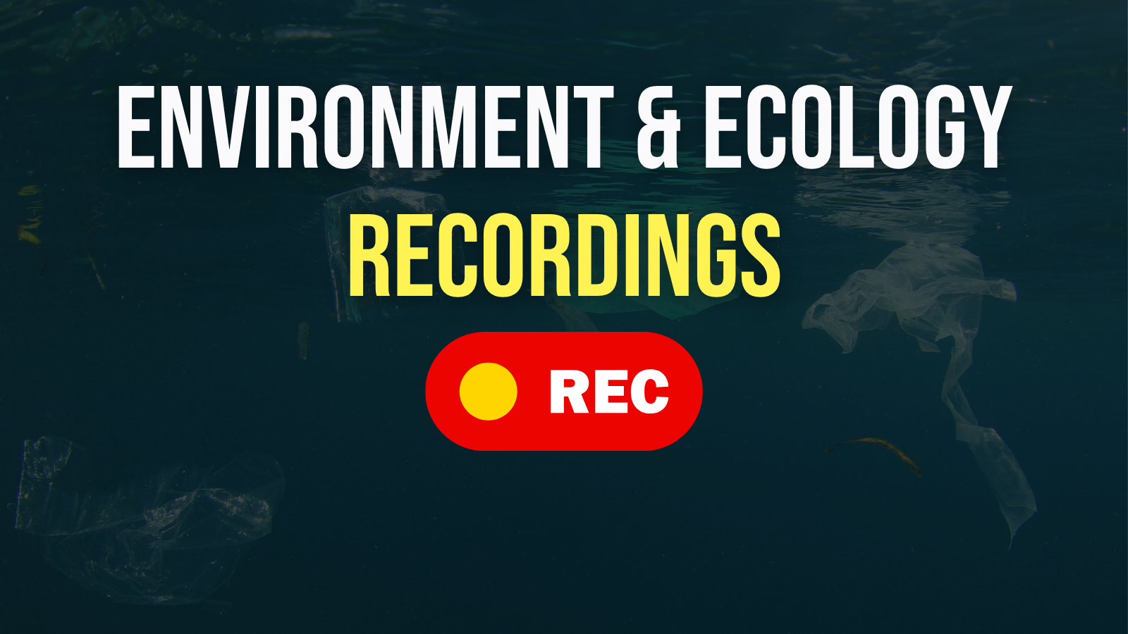 Environment - Live Class & Recordings