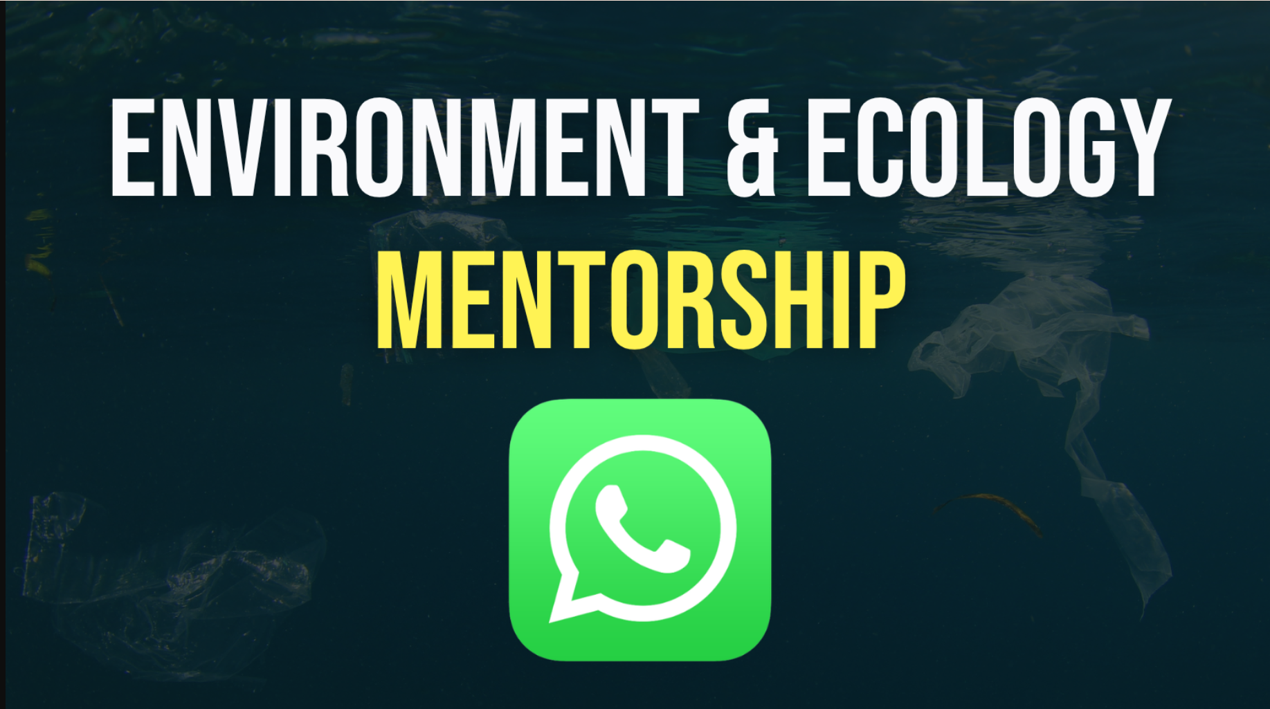 Environment Mentorship